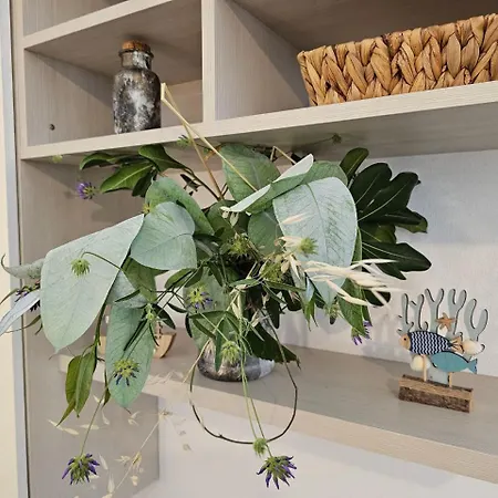 Casa Mara סאבונה